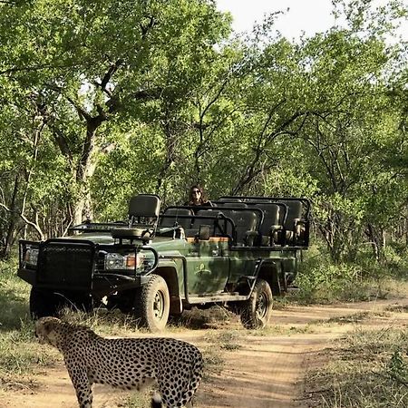 فيلا شيدول برايفيت جيم لودج Karongwe Game Reserve المظهر الخارجي الصورة
