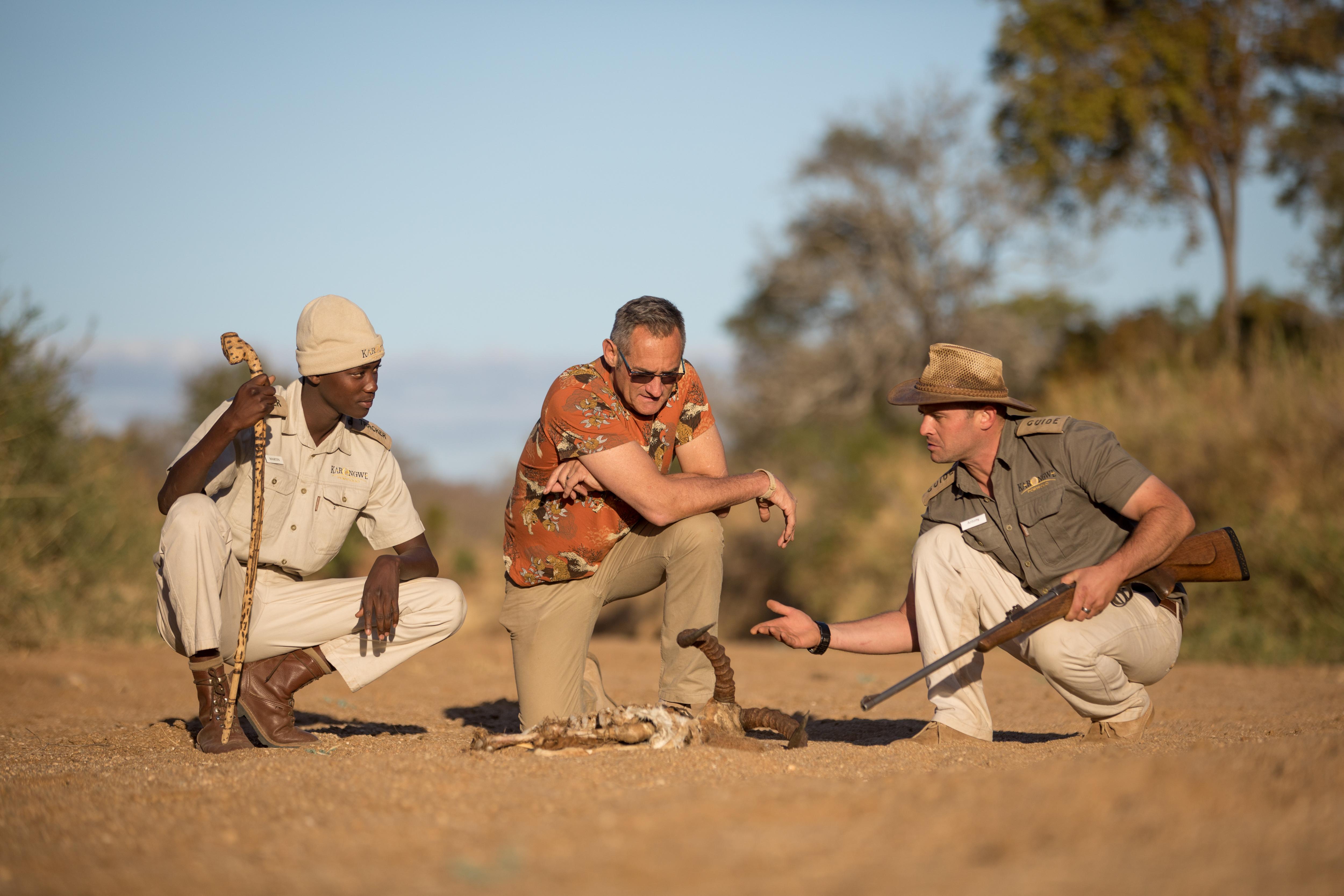 فيلا شيدول برايفيت جيم لودج Karongwe Game Reserve المظهر الخارجي الصورة
