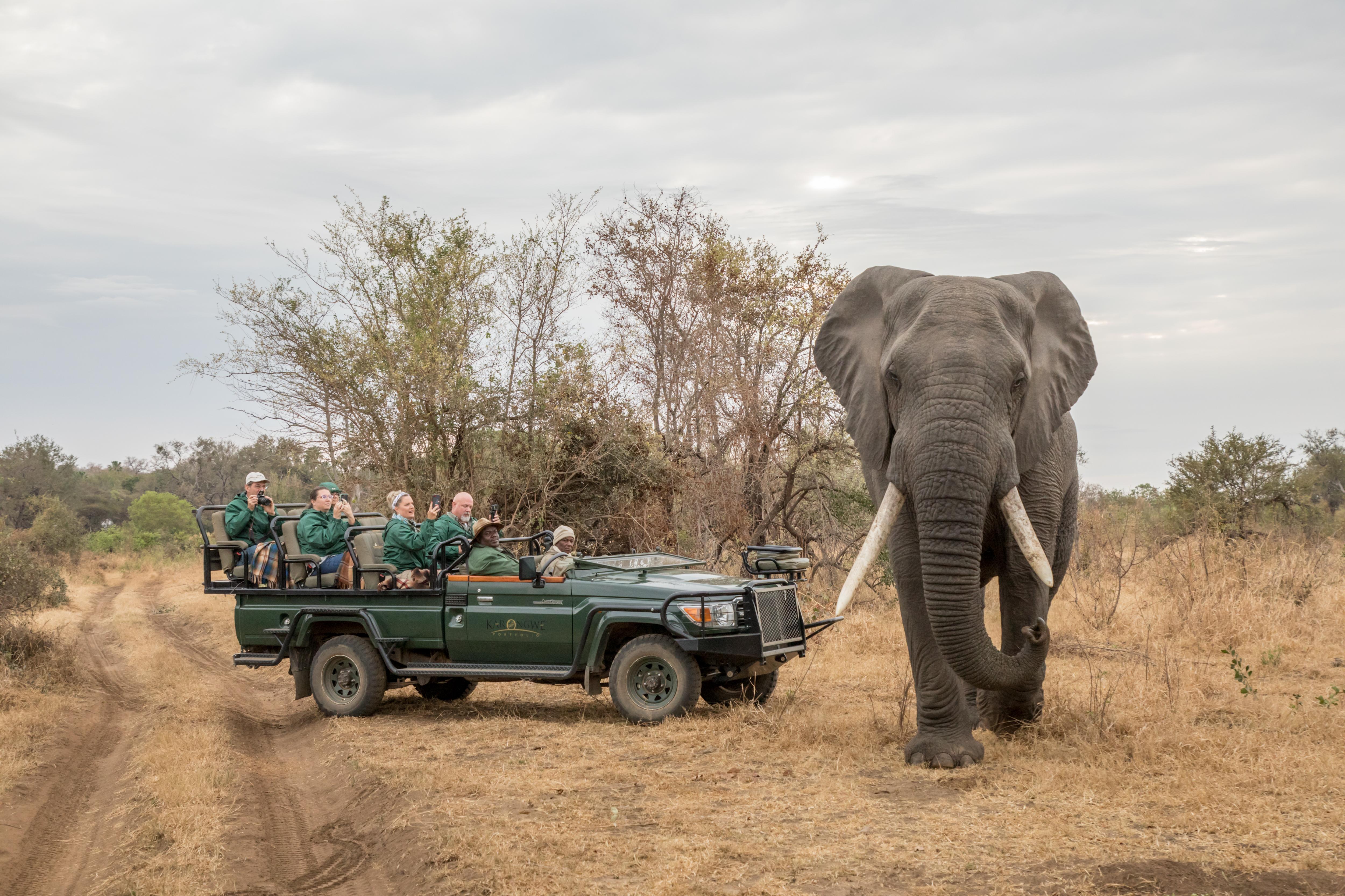 فيلا شيدول برايفيت جيم لودج Karongwe Game Reserve المظهر الخارجي الصورة