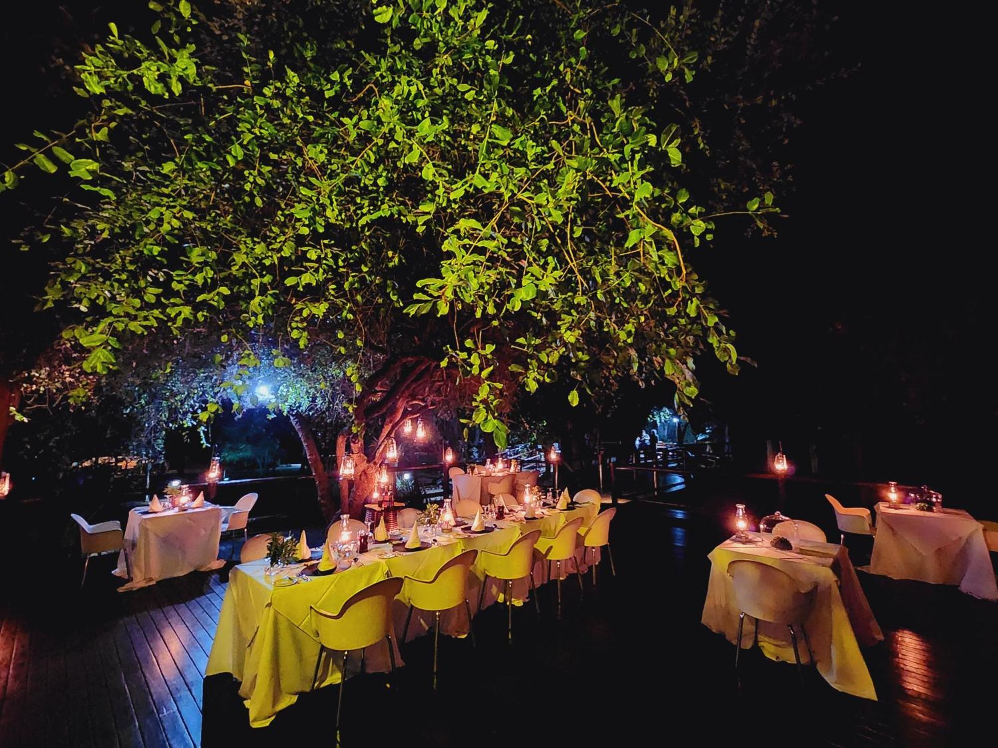 فيلا شيدول برايفيت جيم لودج Karongwe Game Reserve المظهر الخارجي الصورة